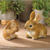 Accent Plus Baby Bunny Figurine