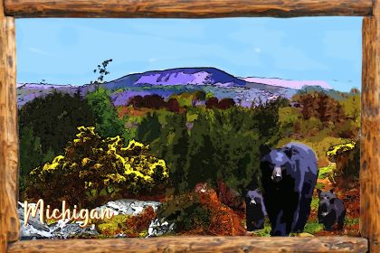 Travel Poster 20 x 30 Michigan Bears