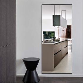 Modern and Contemporary Thin Frame Wall Mirror (Color: Black)